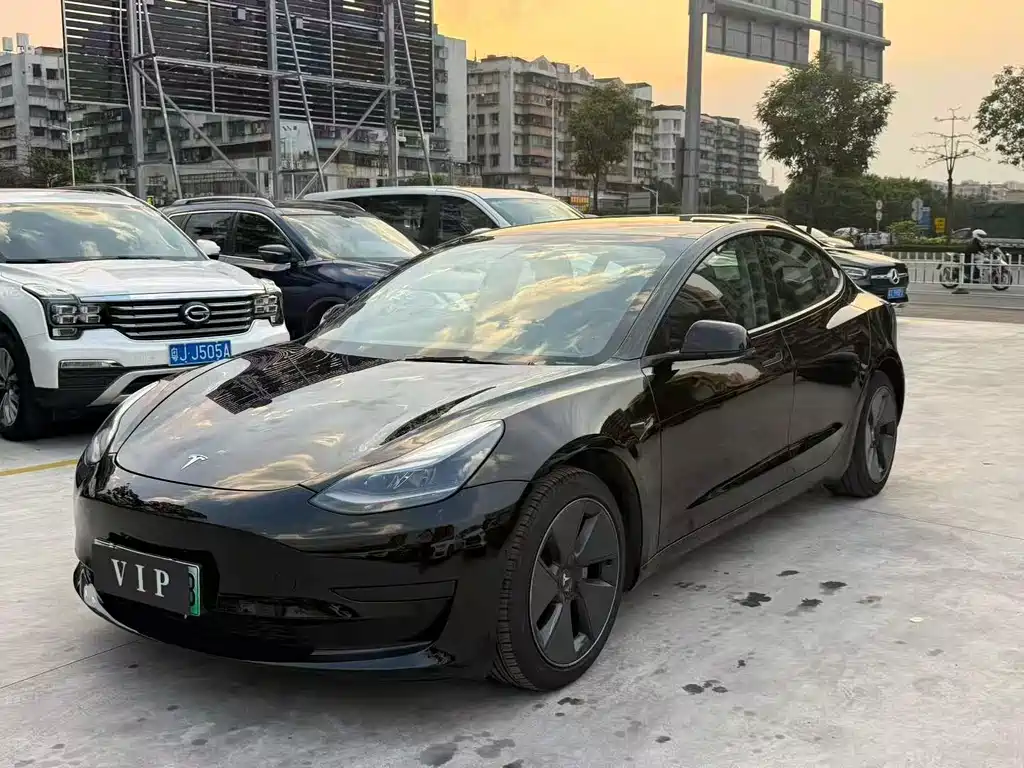 Tesla Model 3 2021