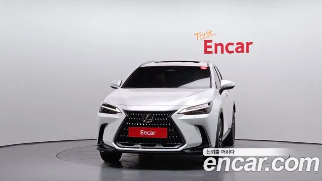 Lexus NX 2024