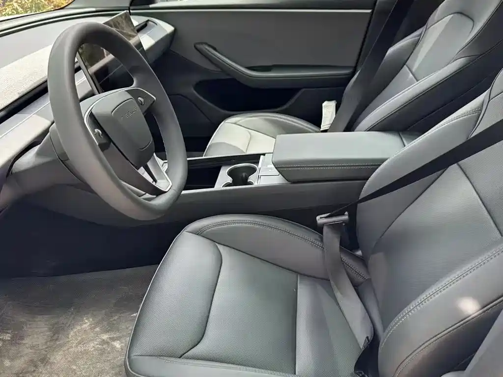 Tesla Model 3 2025