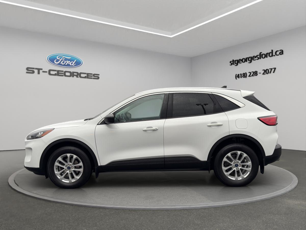 Ford Escape 2022