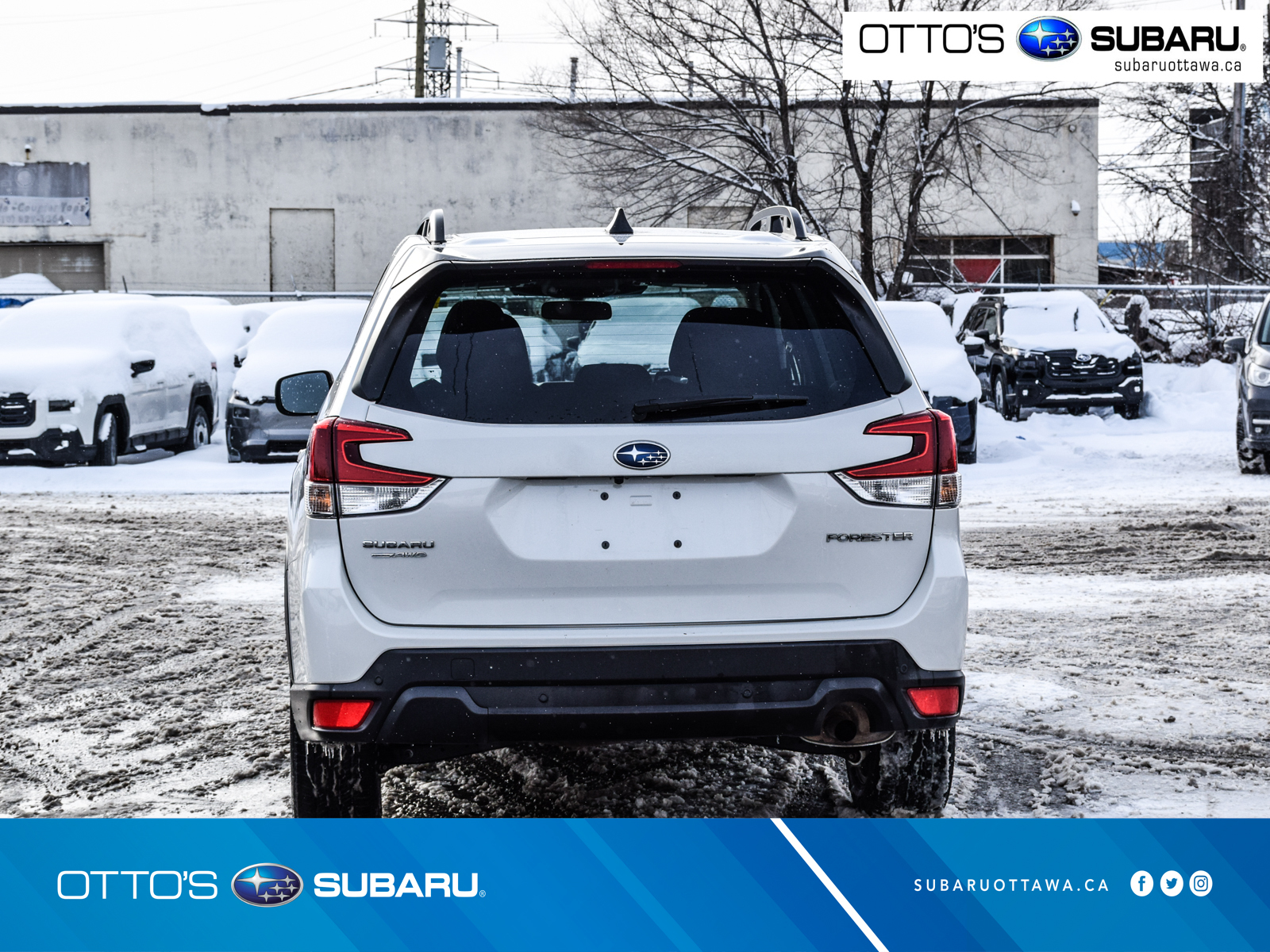 Subaru Forester 2024