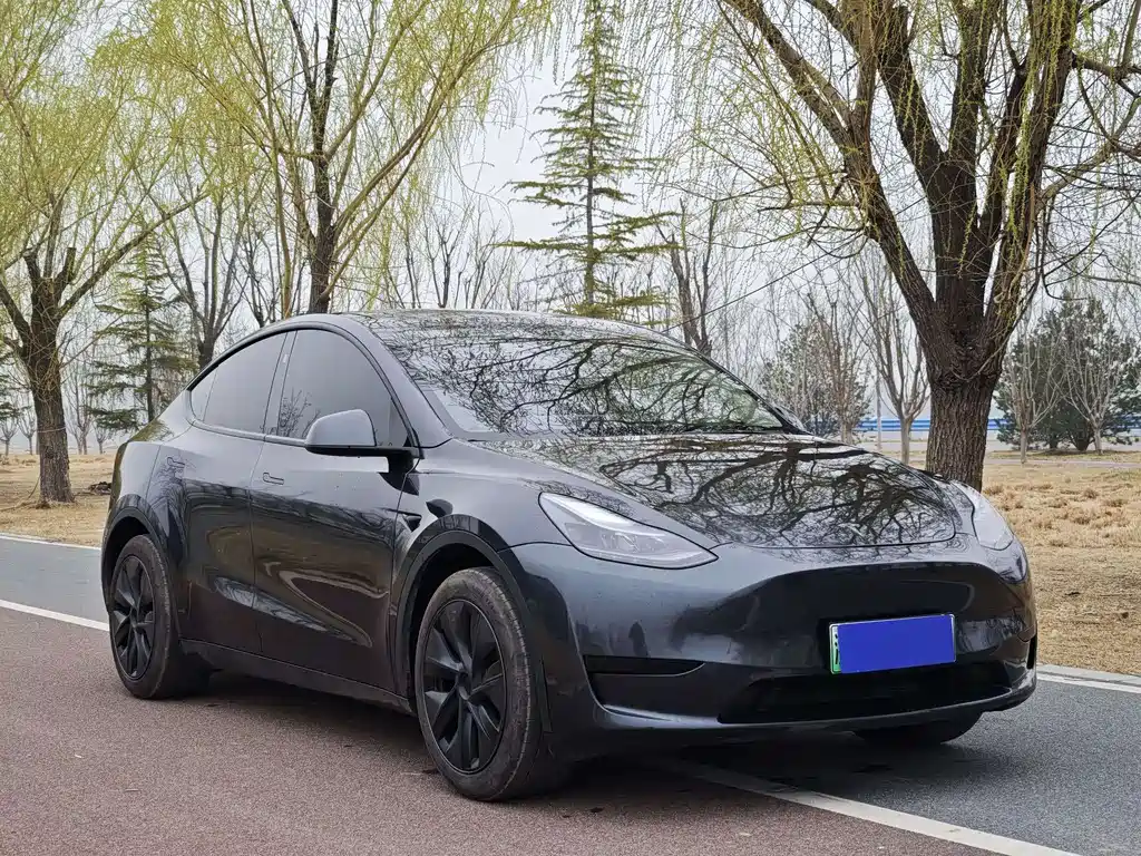 Tesla Model Y 2024