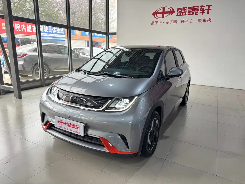 BYD Dolphin 2022