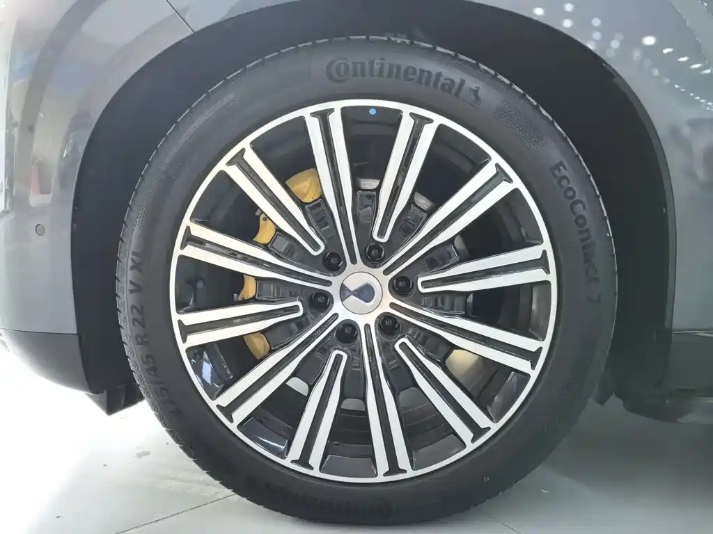 Denza N9 2025