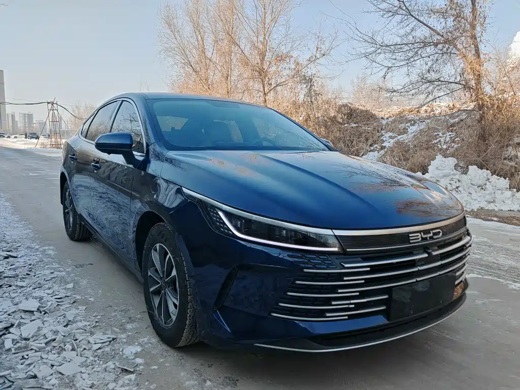 BYD Destroyer 05 2024