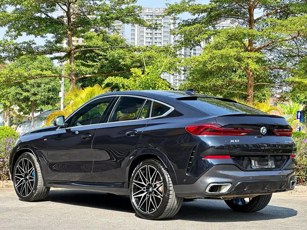BMW X6 2020