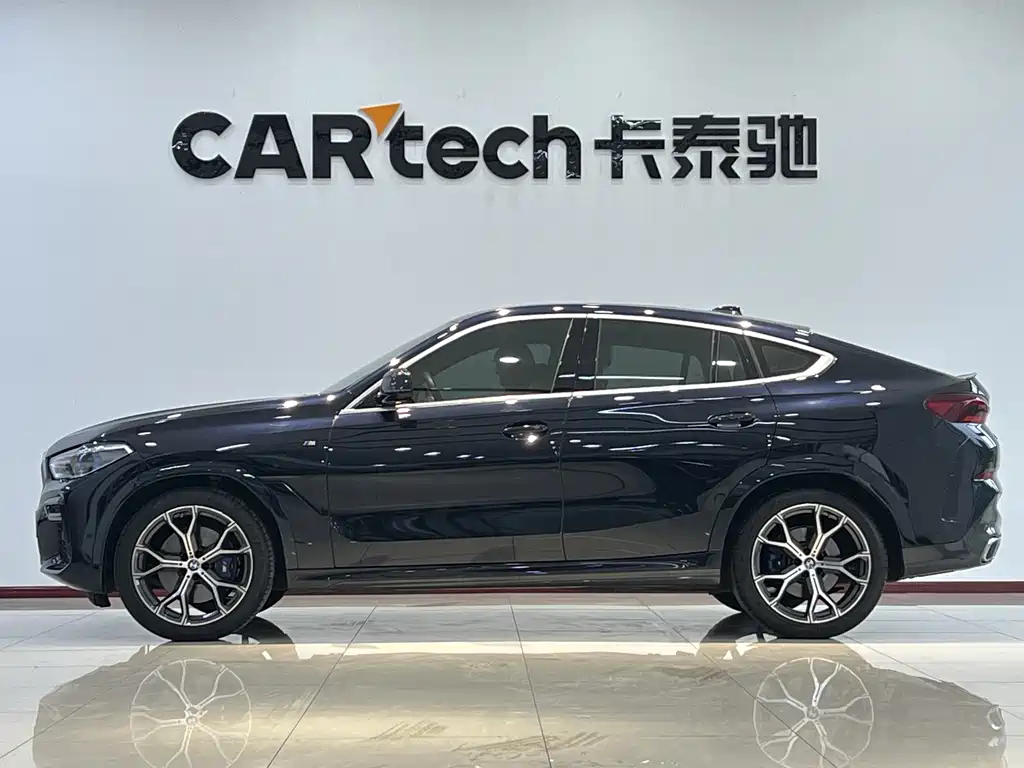 BMW X6 2021