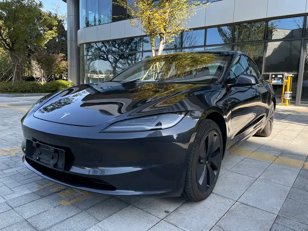 Tesla Model 3 2025