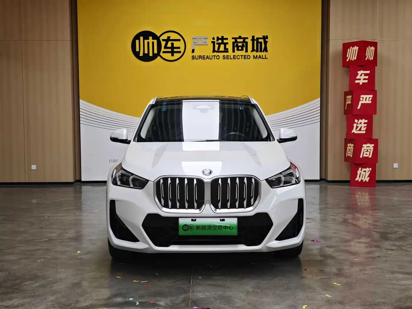 BMW iX1 2025