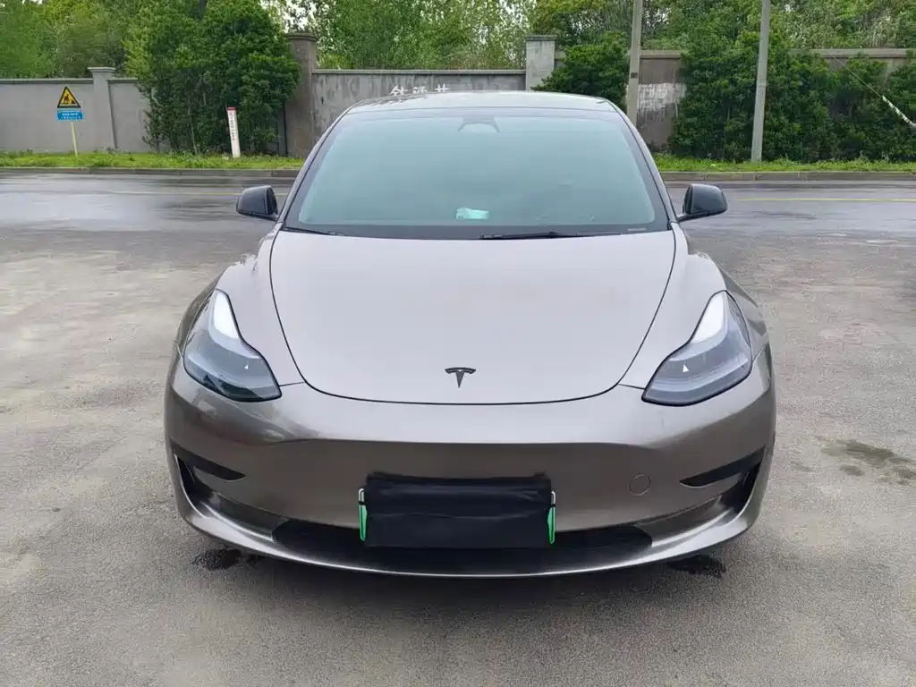 Tesla Model 3 2021