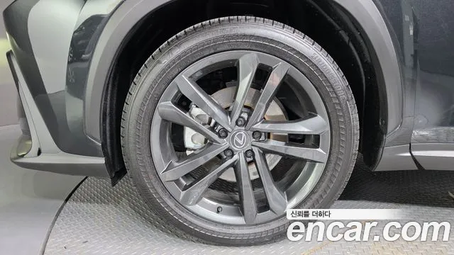 Lexus NX 2025