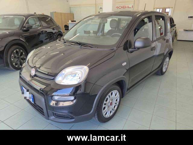 Fiat Panda 2023
