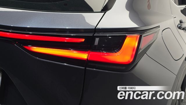 Lexus NX 2023