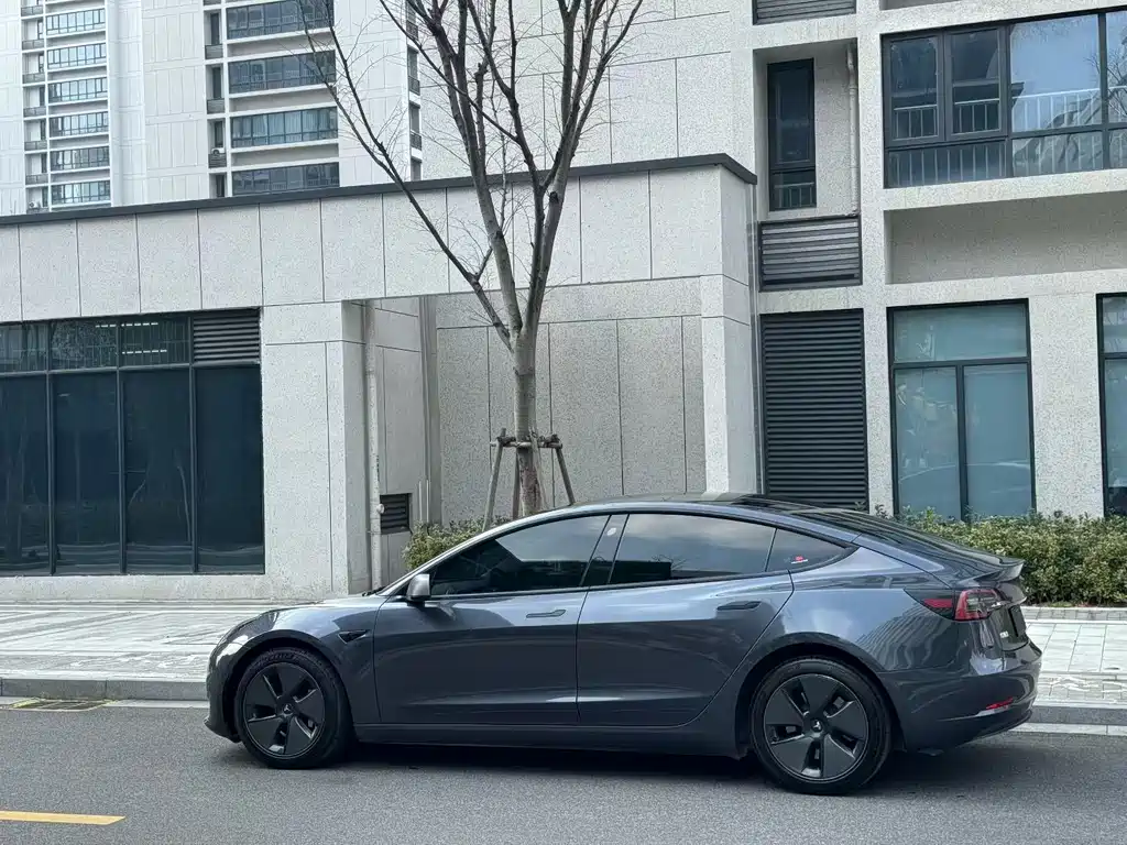 Tesla Model 3 2021