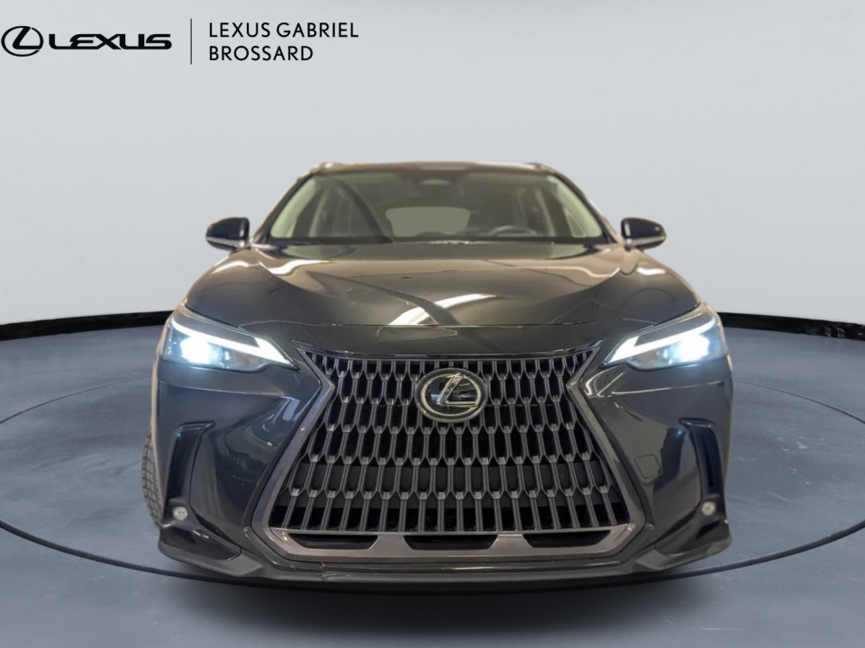 Lexus NX 2022