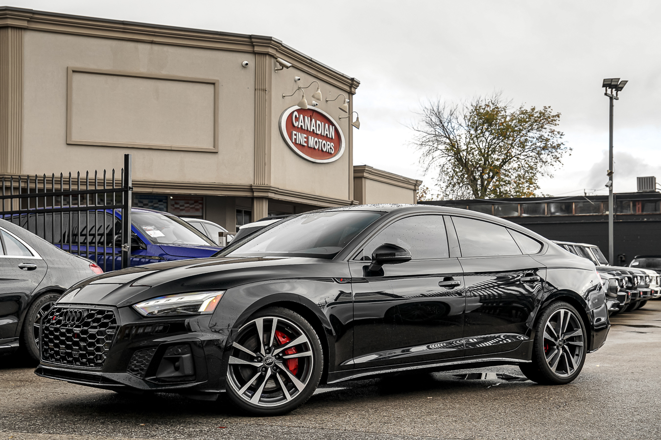 Audi S5 2023