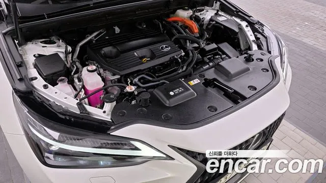 Lexus NX 2024