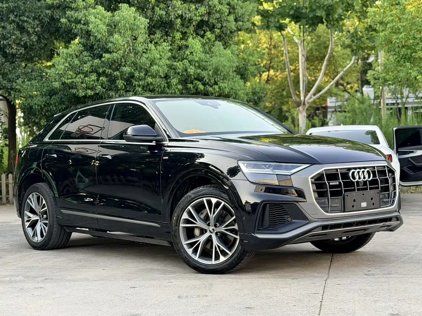 Audi Q8 2021