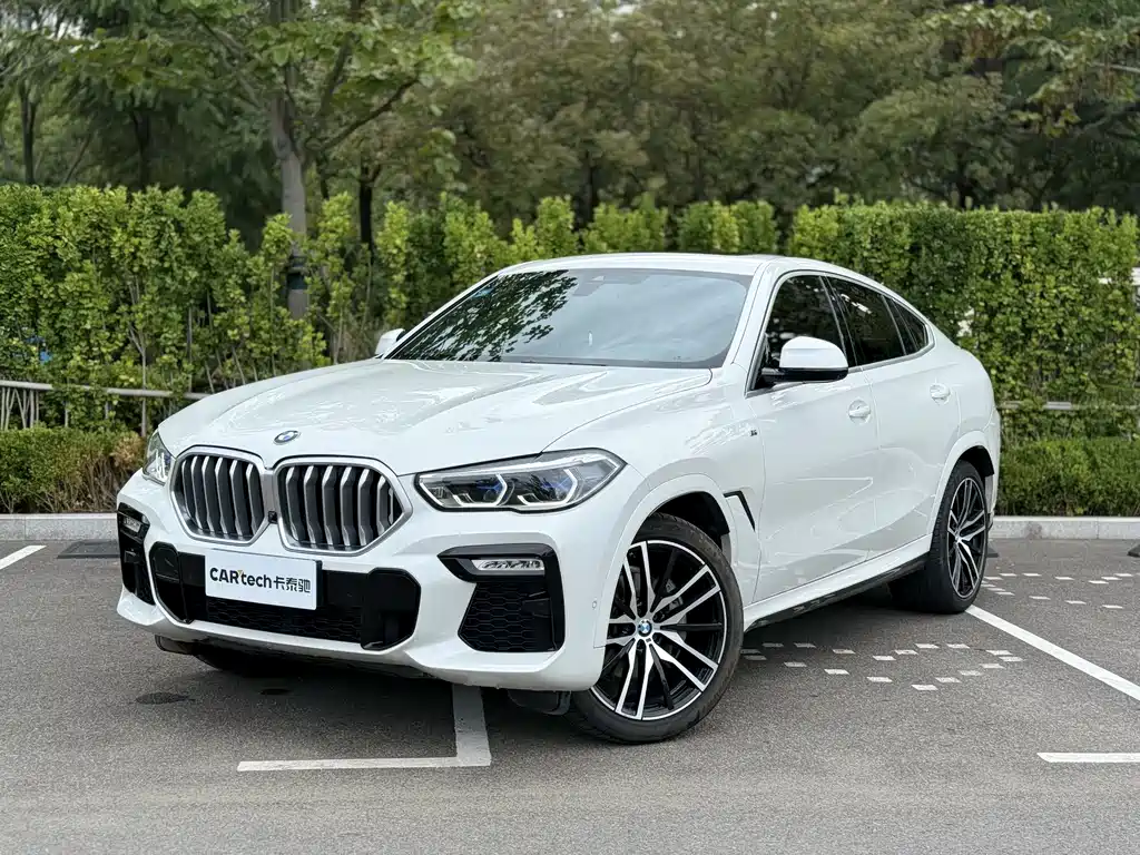BMW X6 2020