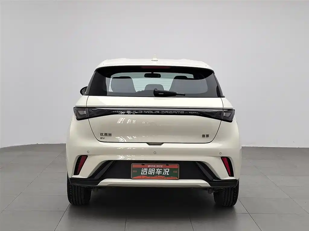 BYD Dolphin 2024