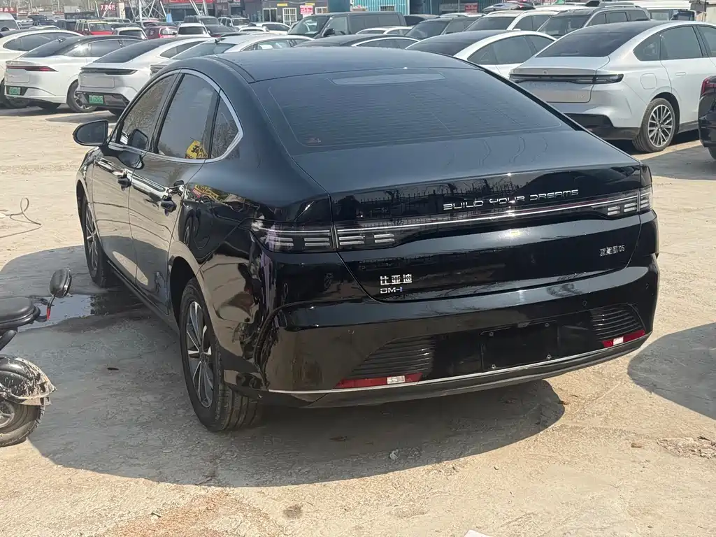 BYD Destroyer 05 2024