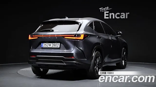 Lexus NX 2024