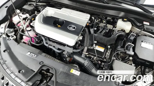 Lexus UX 2023