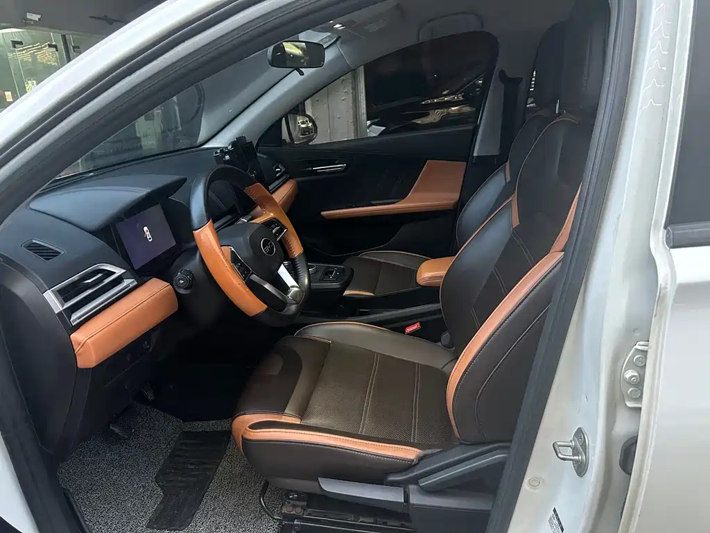 BYD E2 2020