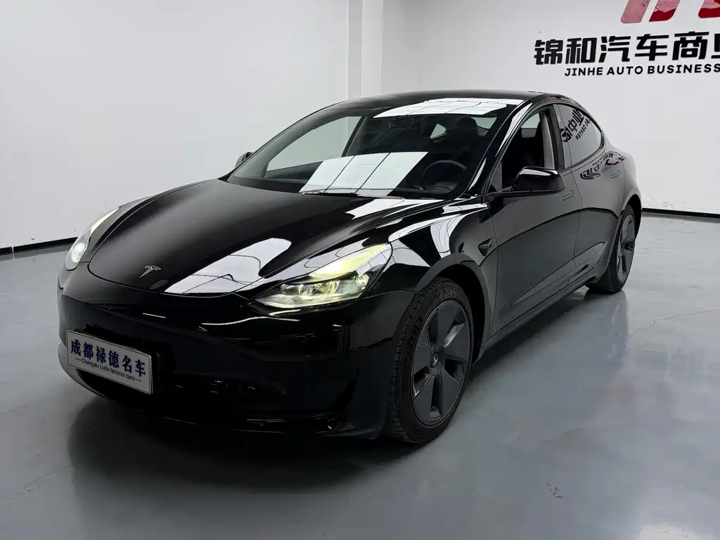 Tesla Model 3 2021