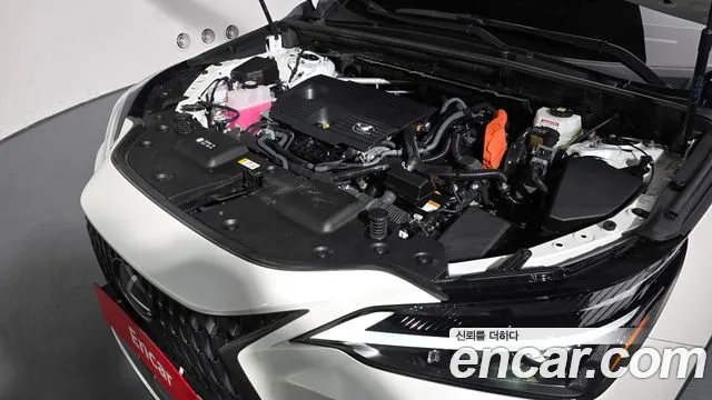 Lexus NX 2024