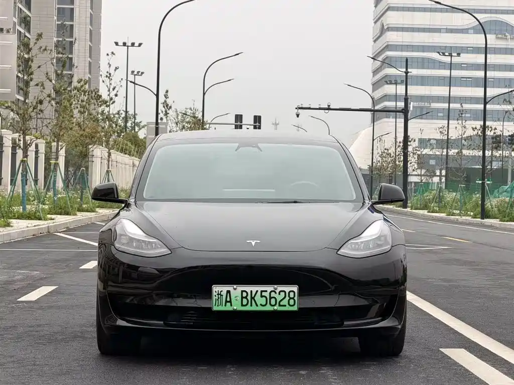 Tesla Model 3 2021