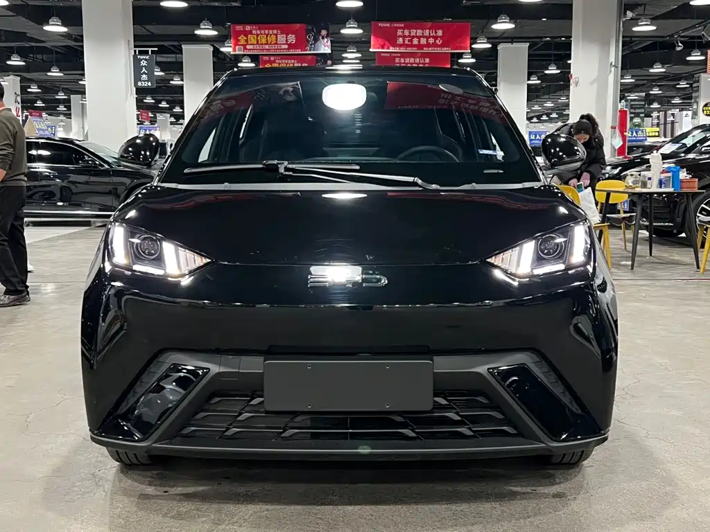 BYD Seagull 2025