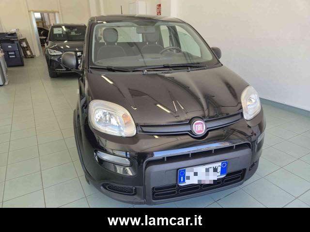 Fiat Panda 2023