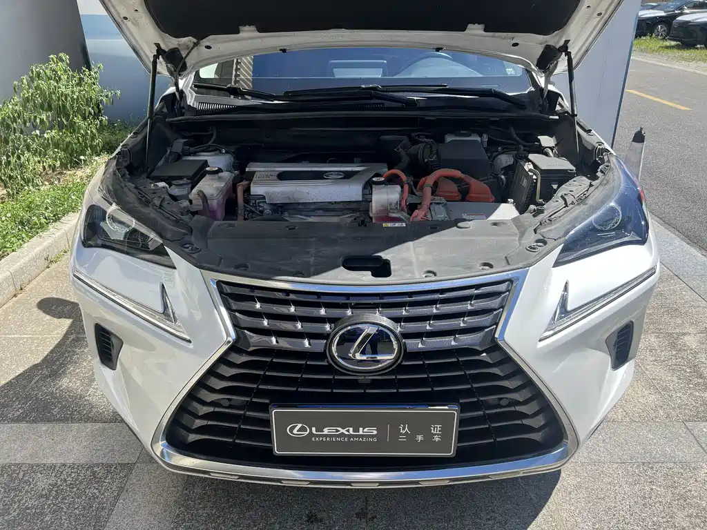 Lexus NX 2020