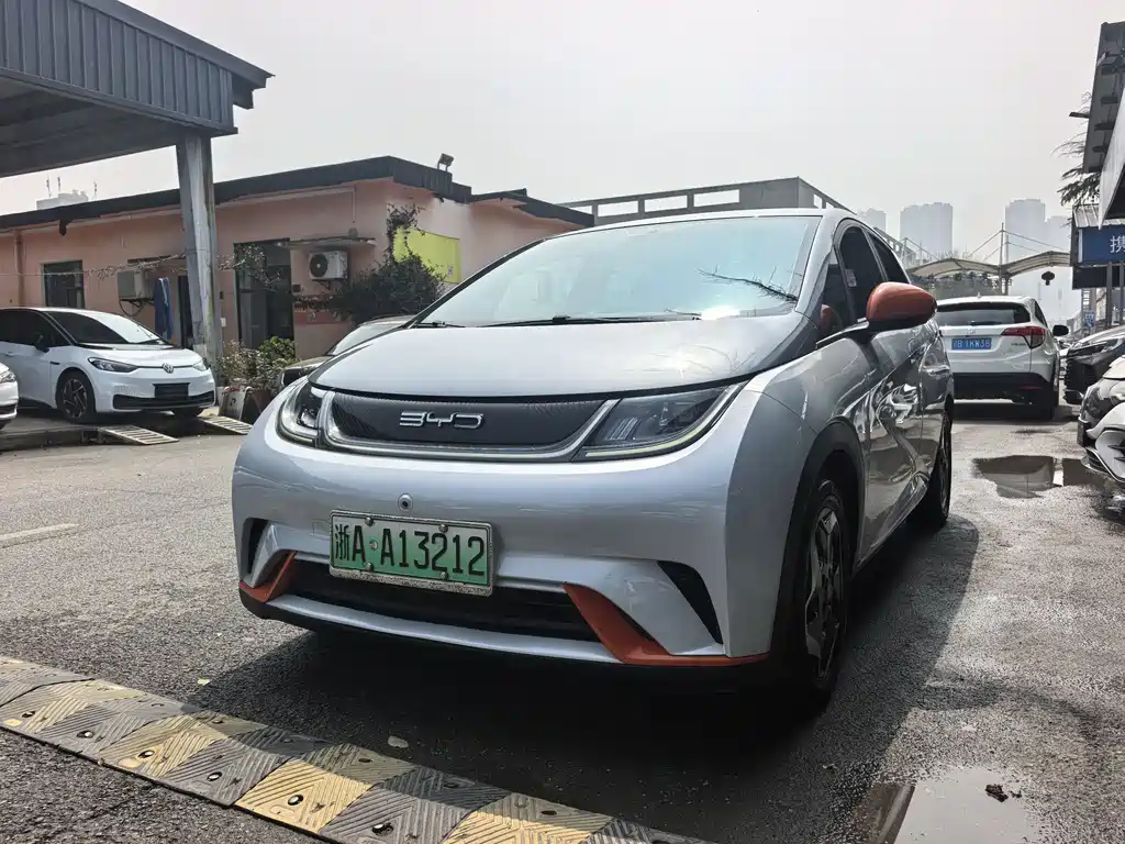 BYD Dolphin 2021