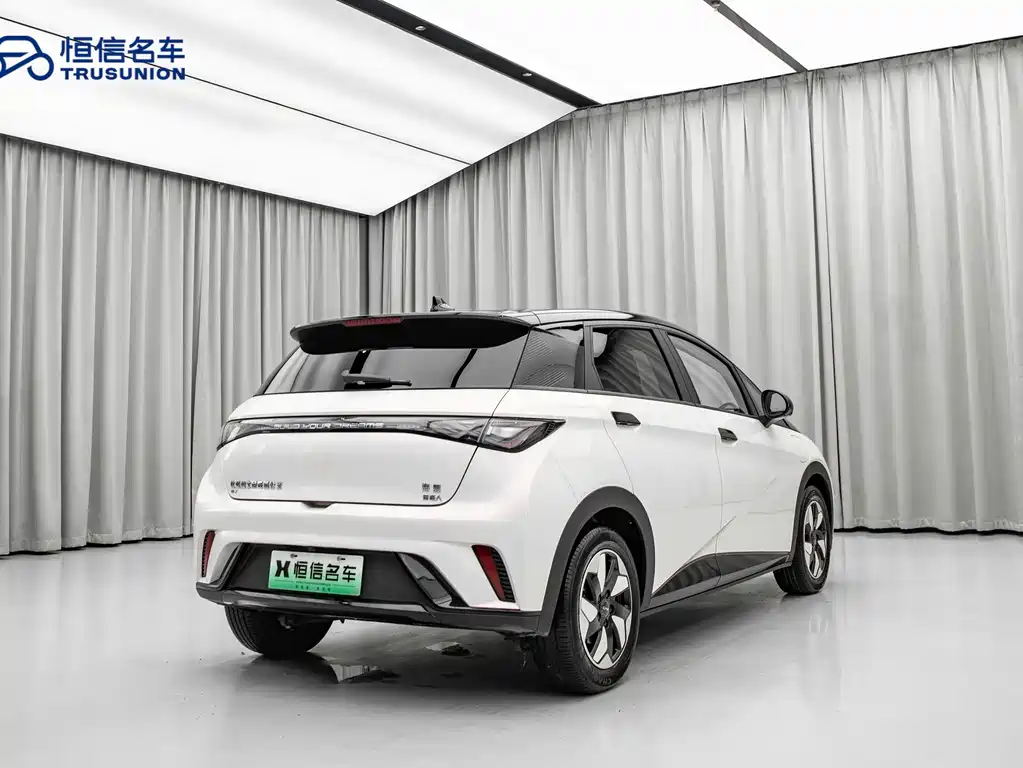 BYD Dolphin 2024