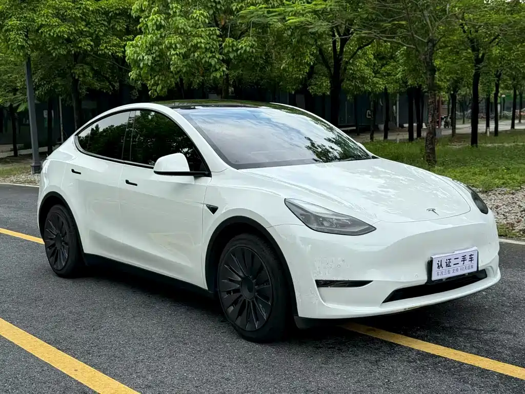Tesla Model Y 2021