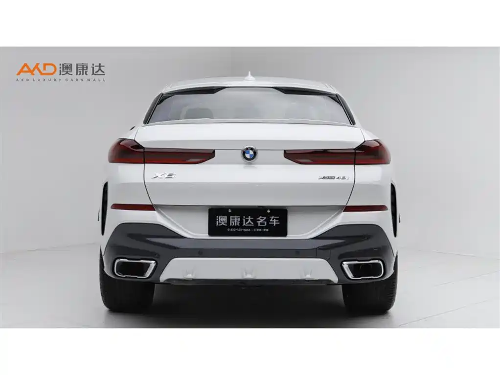BMW X6 2021