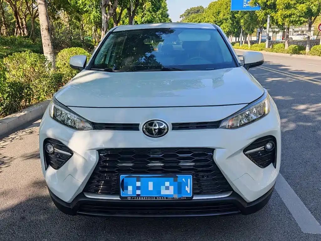 Toyota Wildlander 2021
