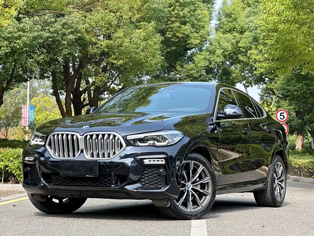 BMW X6 2021