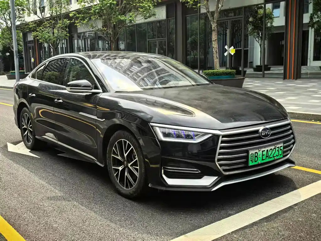 BYD E9 2021