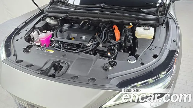 Lexus RX 2023