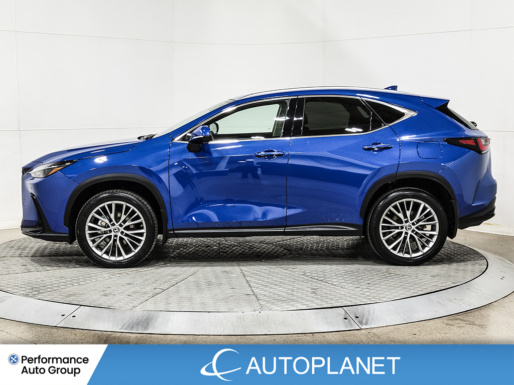 Lexus NX 350 2023