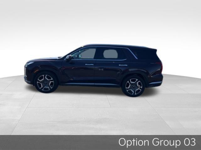 Hyundai Palisade 2024
