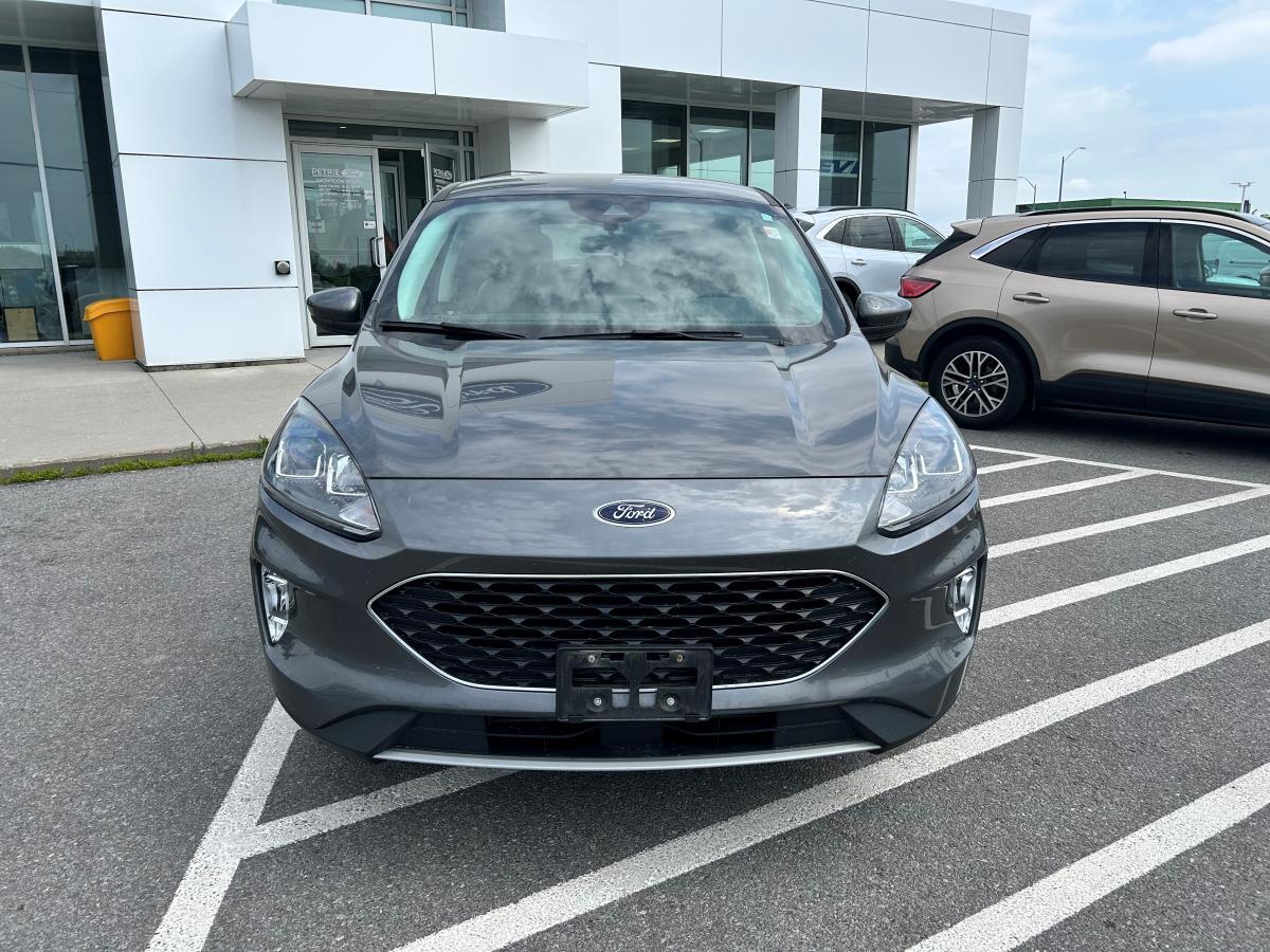 Ford Escape 2022