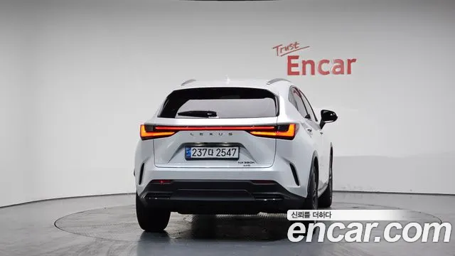 Lexus NX 2024