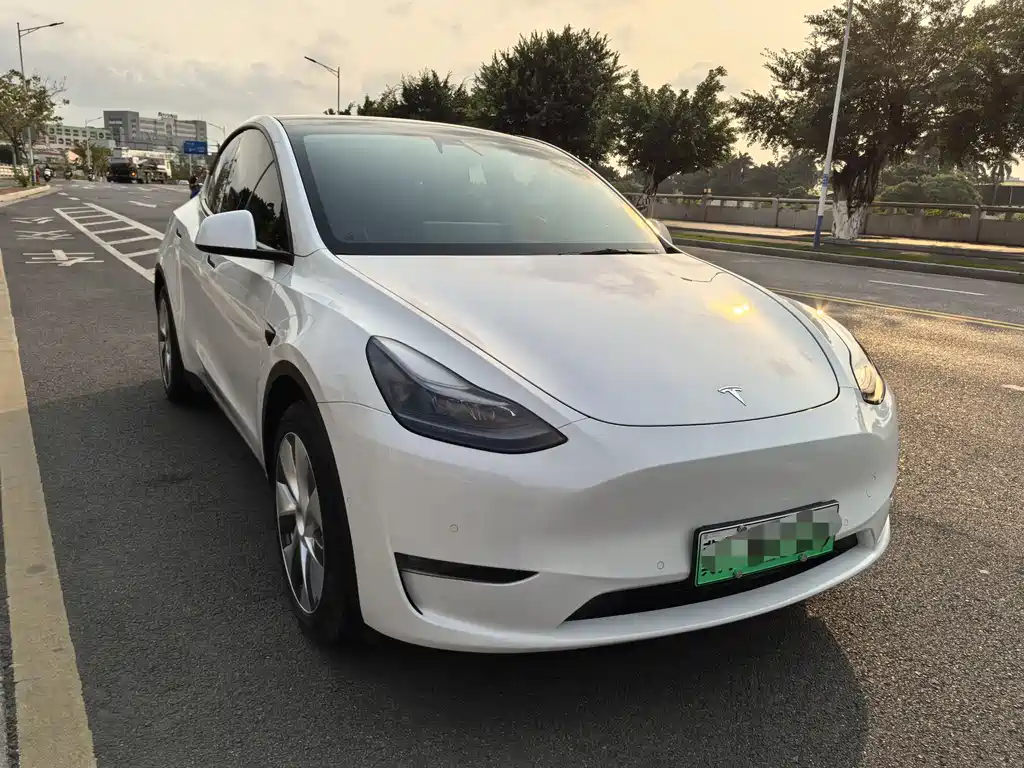 Tesla Model Y 2021