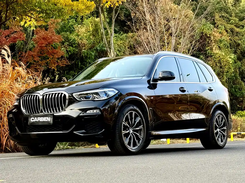 BMW X5 2021