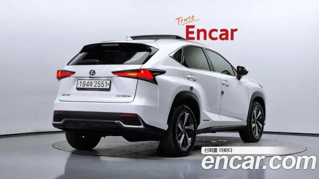 Lexus NX 2020