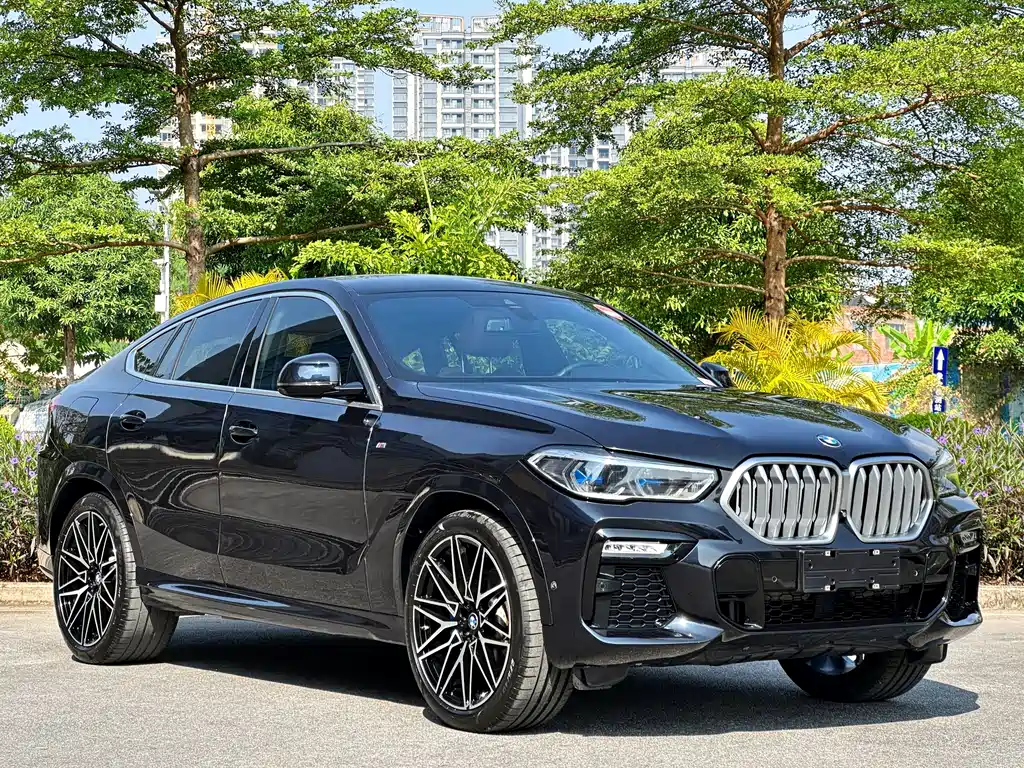 BMW X6 2020